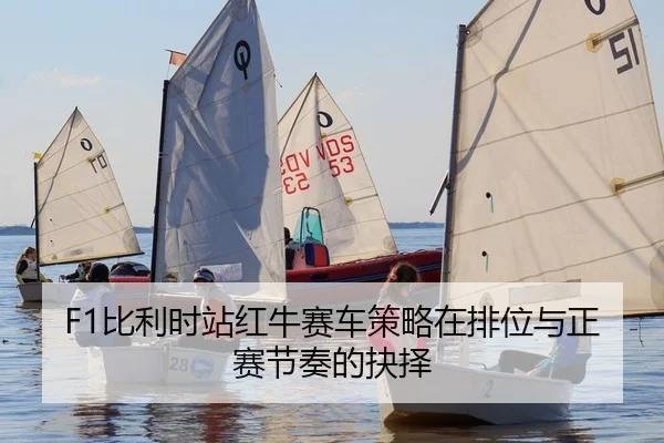 bi-li-shi-zhan-hong-niu-sai-che-ce-lve-zai-pai-wei-yu-zheng-sai-jie-zou-de-jue-ze-2-809.jpg